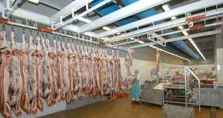 Дезинсекция на мясокомбинате в Химках, цены на услуги